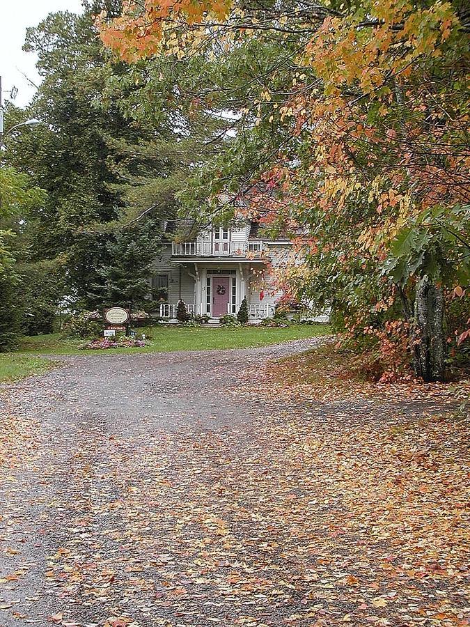 Briarwood Bed & Breakfast Elmsdale Exteriör bild
