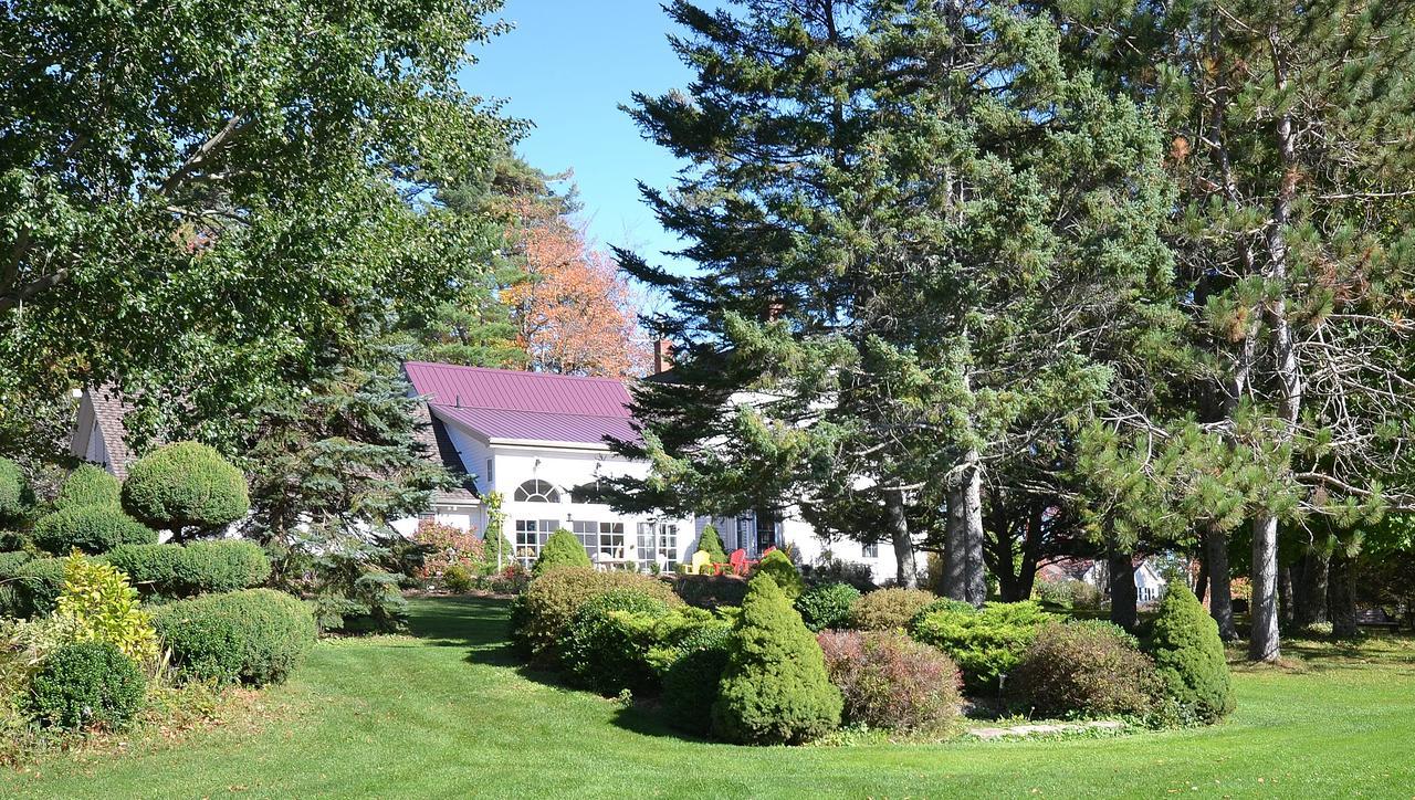 Briarwood Bed & Breakfast Elmsdale Exteriör bild