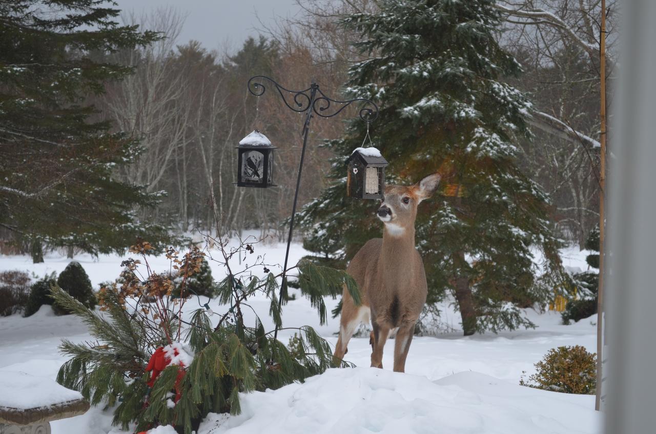 Briarwood Bed & Breakfast Bed and Breakfast Elmsdale Rum bild