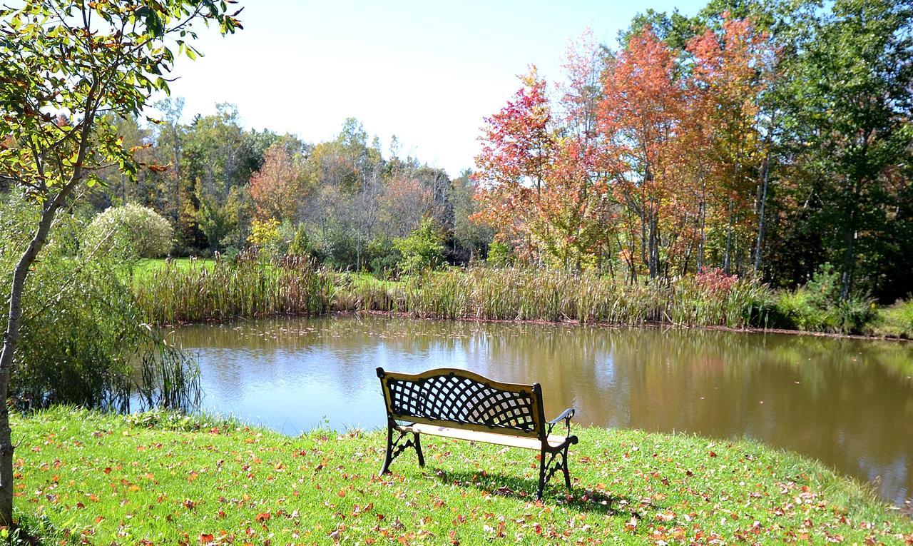Briarwood Bed & Breakfast Elmsdale Rum bild