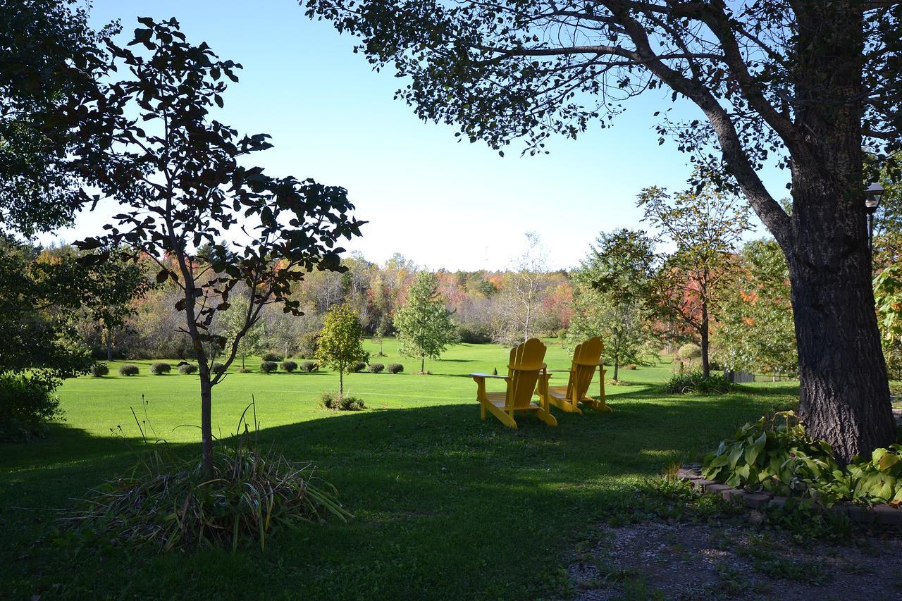 Briarwood Bed & Breakfast Elmsdale Rum bild