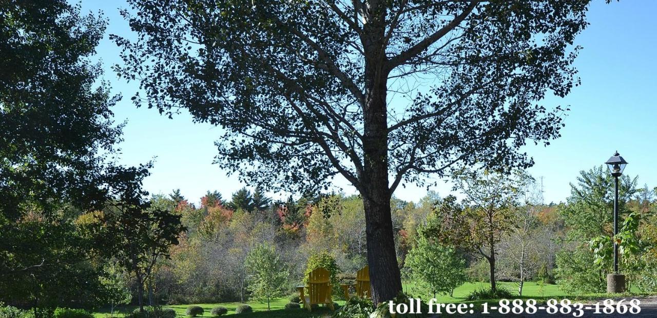 Briarwood Bed & Breakfast Elmsdale Rum bild